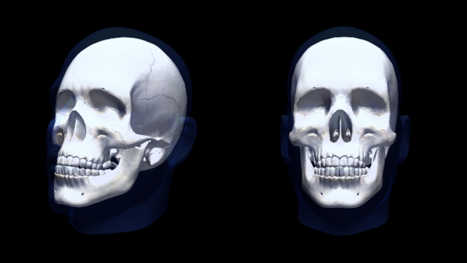 Impactfully visualize scientific information