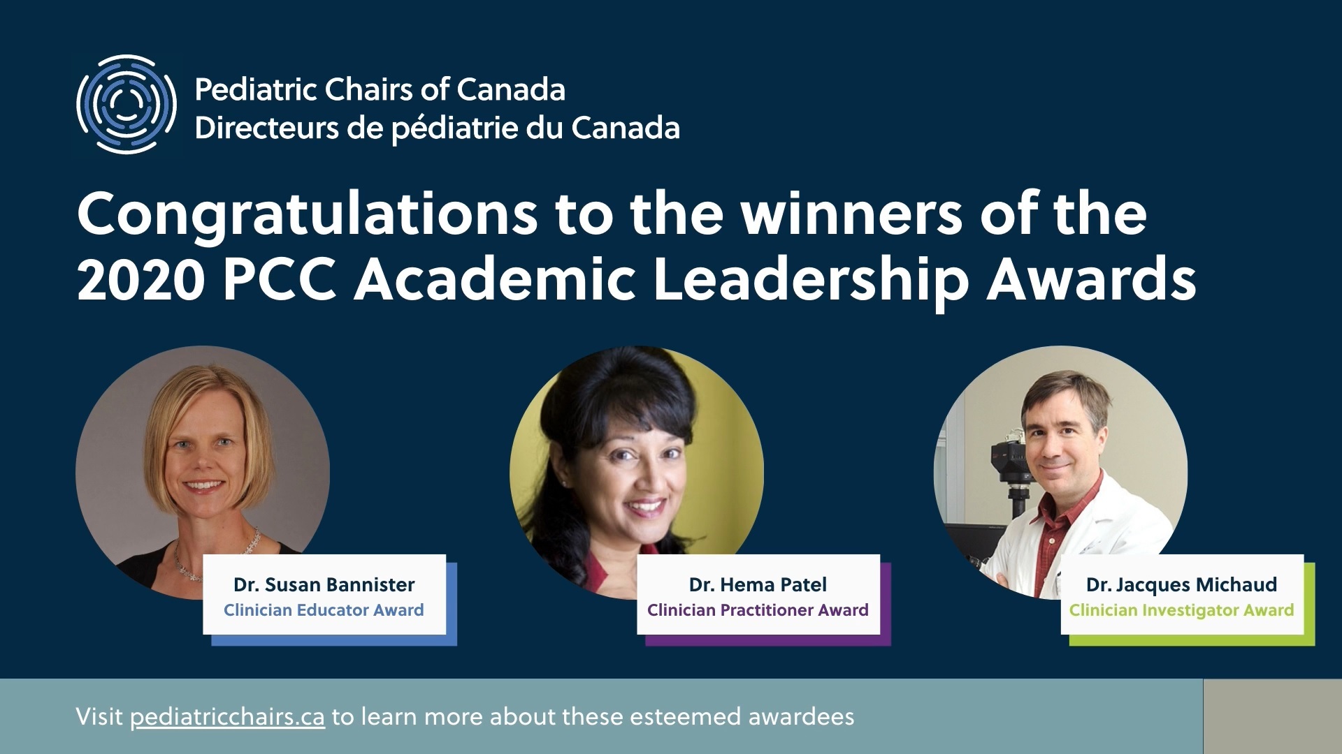 Host a virtual panel discussion with dynamic, customized visuals
