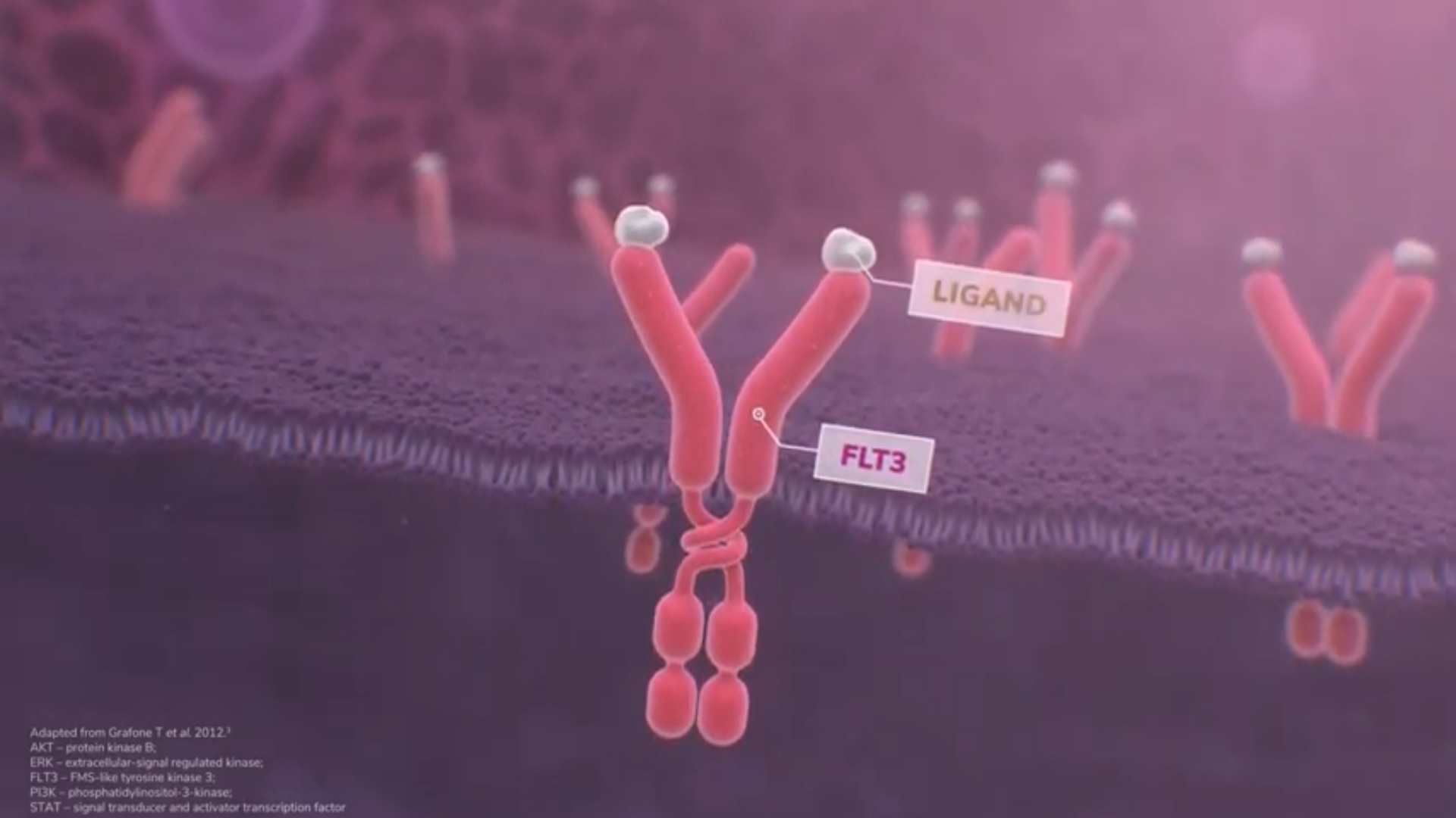 Mechanism of action explainer video