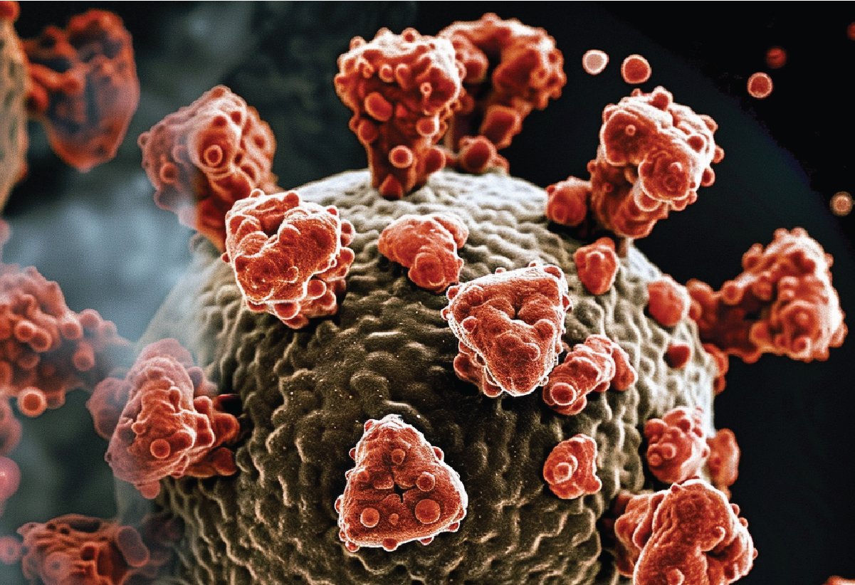 RSV: The Next Frontier in Respiratory Disease Management