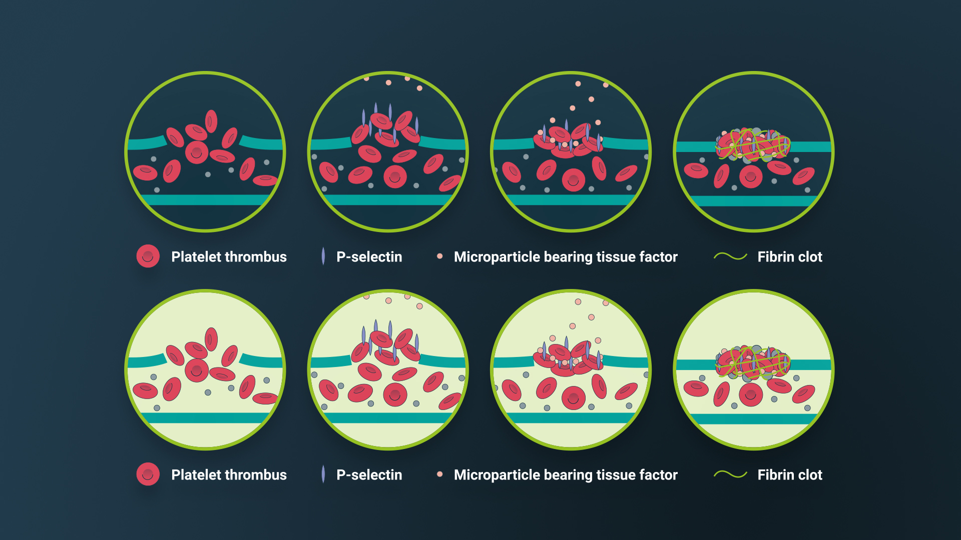 Produce CME e-learning modules