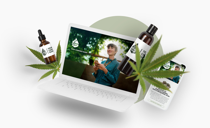 Leverage education to build a cannabis brand